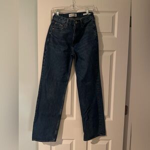 Aritzia Denim Forum The 90’s Iggy Lo-Rise Baggy Jean